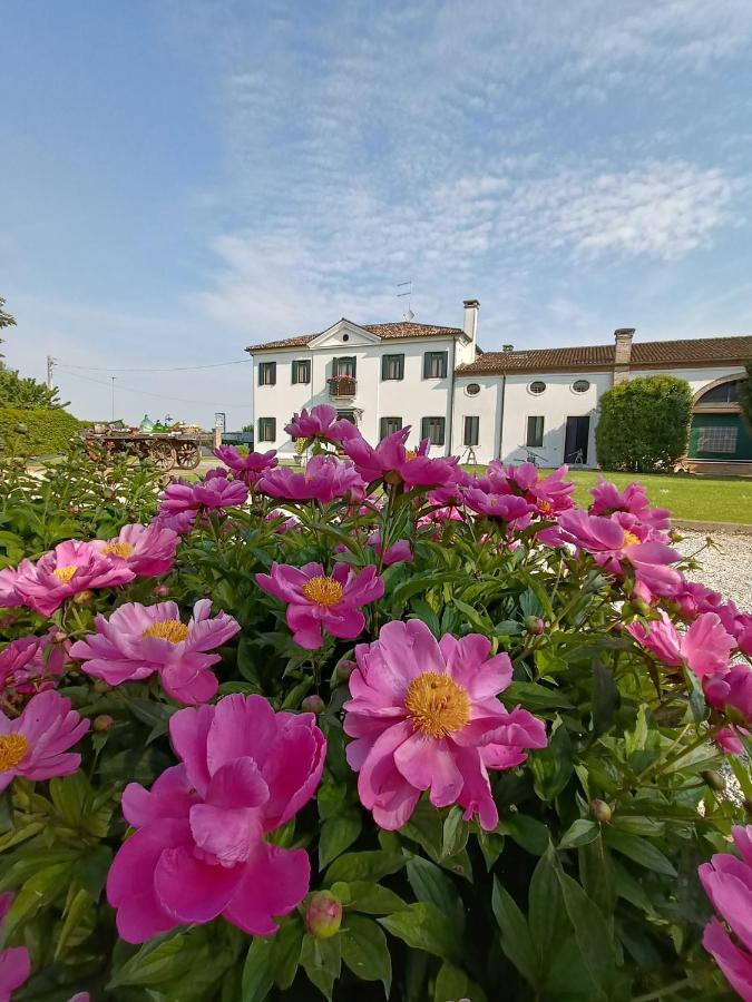 Agriturismo Villa Greggio Casalserugo Extérieur photo
